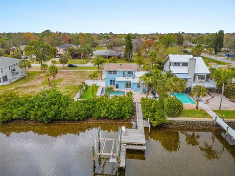 A home in TARPON SPRINGS