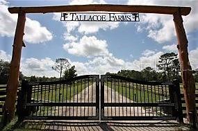 Howe & Curriers Allotment #1-3 - Land