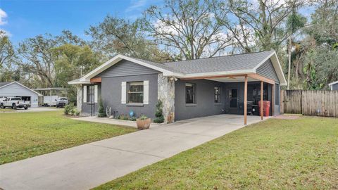 A home in PLANT CITY