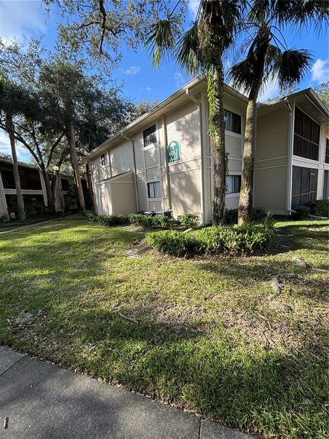 A home in TEMPLE TERRACE