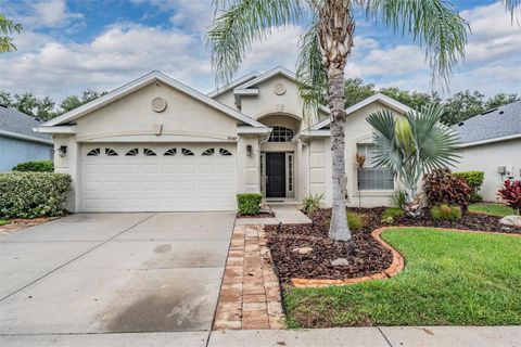 Photo of 6047 Desert Peace Ave, Land O Lakes, FL 34639 (MLS # TB8403892)