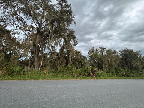 0 GABRIEL ROAD FORT MEADE FL 33841