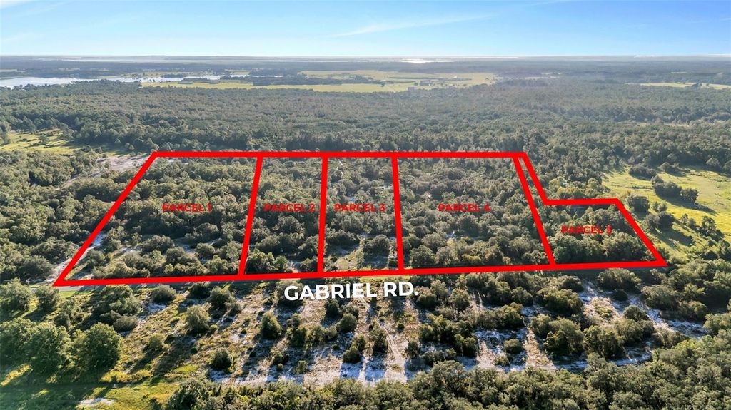Photo of 0 Gabriel Road, Fort Meade, FL 33841 (MLS # L4955960)