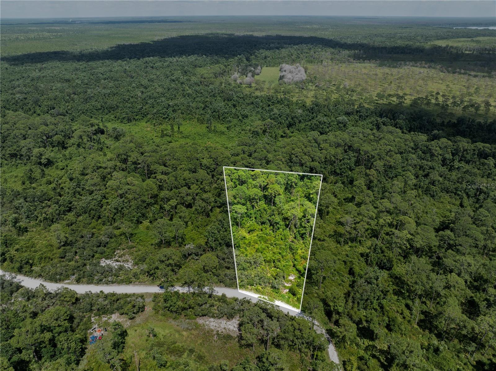 Welcome to 2.49 acres of pure possibility in the heart of Blue Jordan Forest, Frostproof, FL. This isn’t just land — it’s your blank canvas to build the lifestyle you’ve always wanted. Whether you’re dreaming of a sleek custom home, a sustainable mini farm, or just a quiet escape from the chaos — this property delivers. Set inside a gated community surrounded by natural beauty, you’re just minutes from Arbuckle Lake, Lake Reedy, and the Lake Wales Ridge State Forest. Privacy? Absolutely. Freedom to create? Zoned for agricultural residential use, so the options are endless. The gated entry adds security and exclusivity, making this more than land — it’s an investment in your future. Rare opportunities like this don’t last. Build it. Own it. Live it.