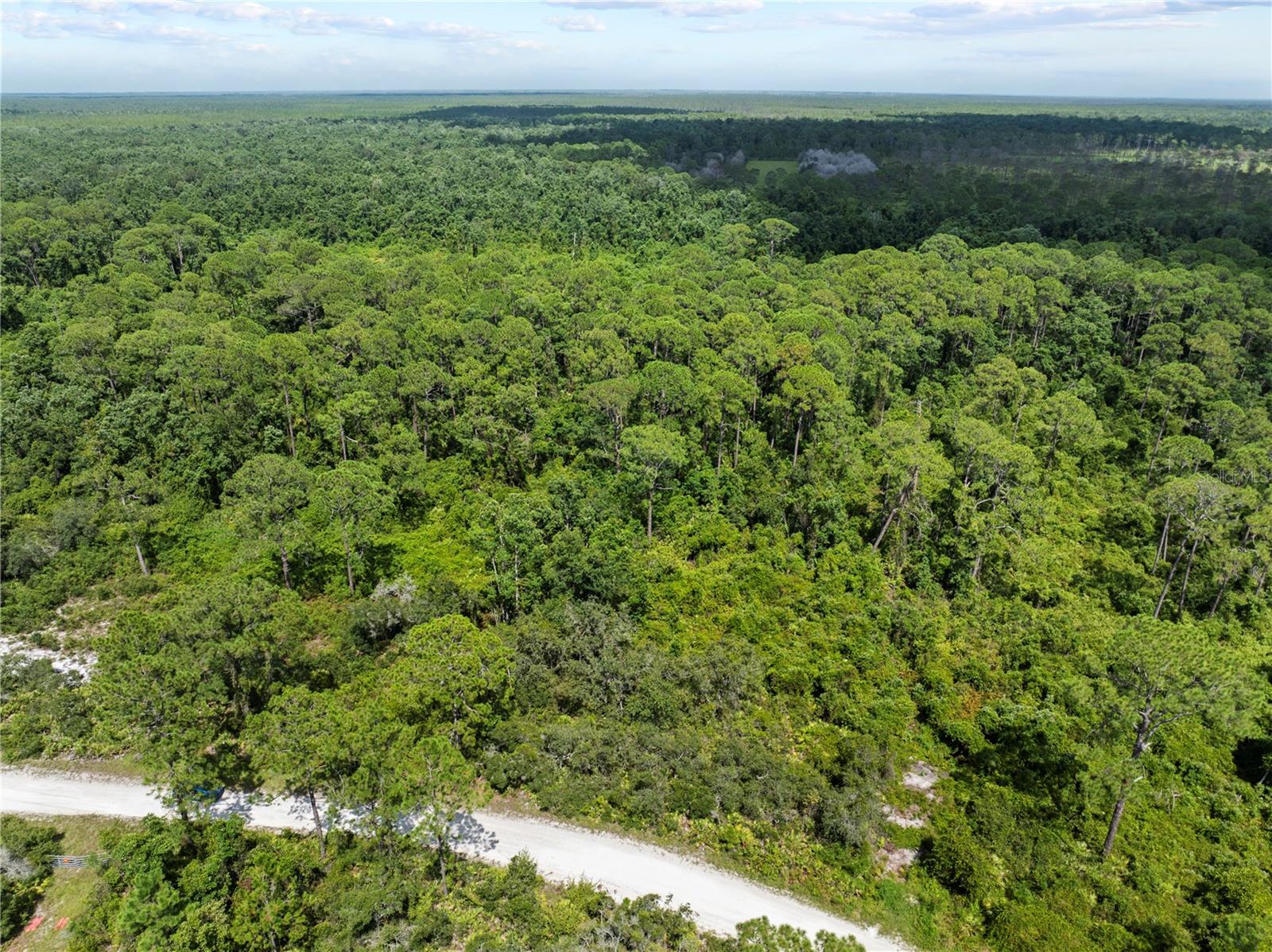 BLUE JORDAN FOREST - Land