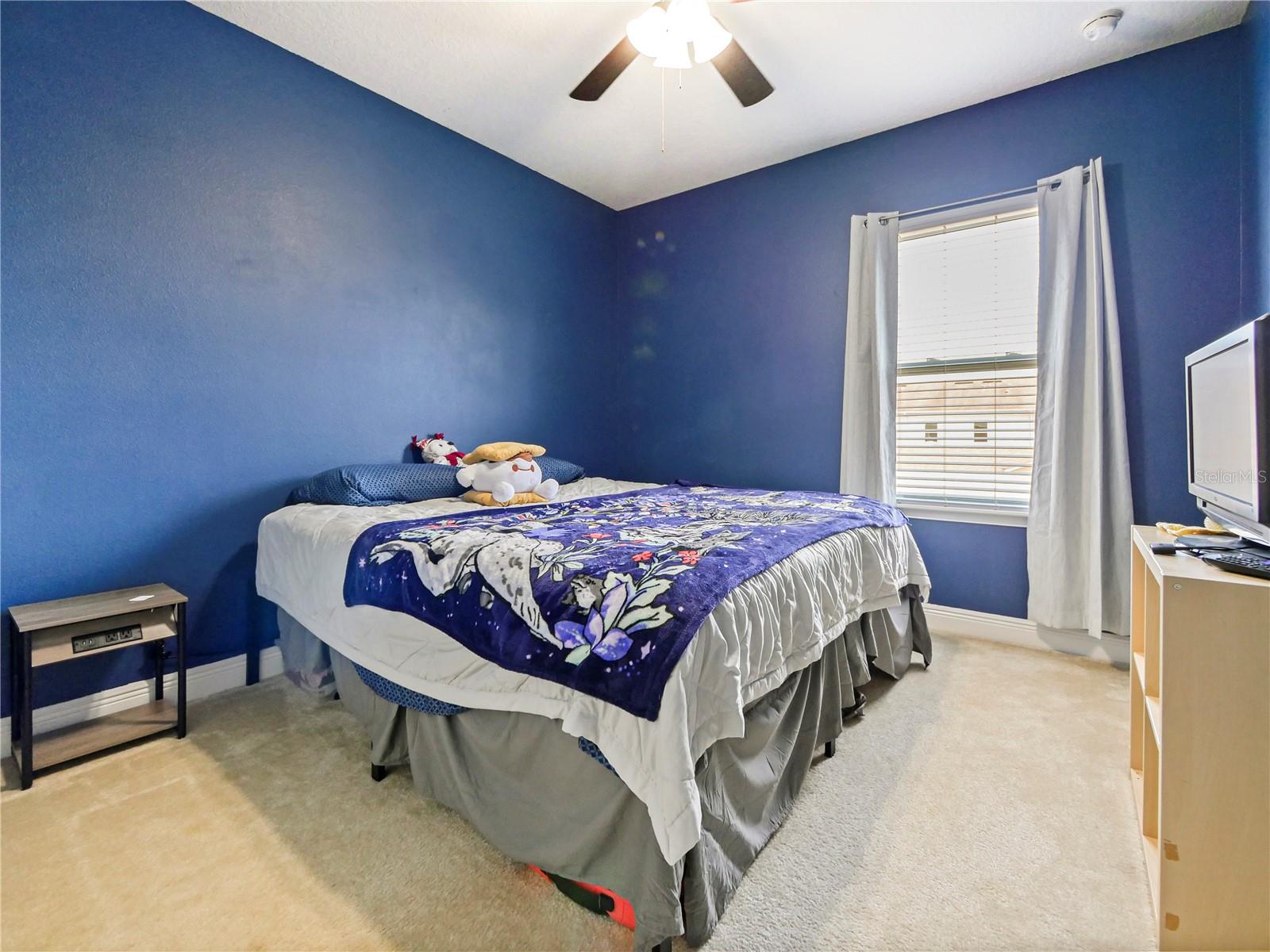 SAVANNAH PARK - Residential