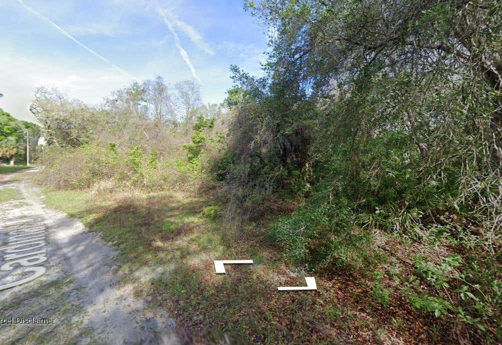 Photo of 0 NE 437th Ave, Old Town, FL 32680 (MLS # A4702523)