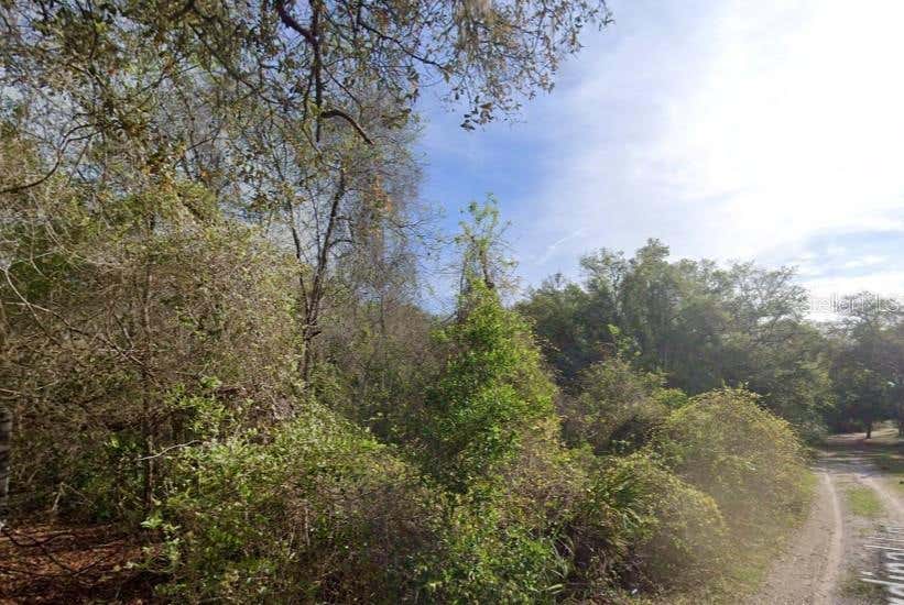 Photo of 0 NE 437th Ave, Old Town, FL 32680 (MLS # A4702523)