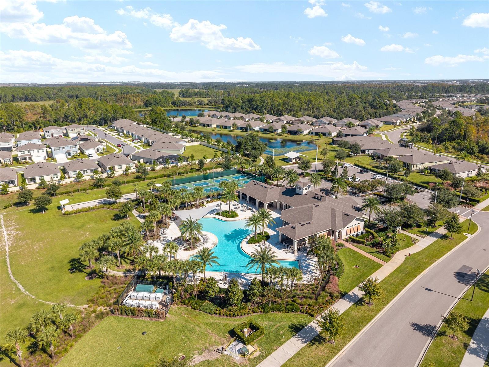 PALMS AT SERENOA - Residential