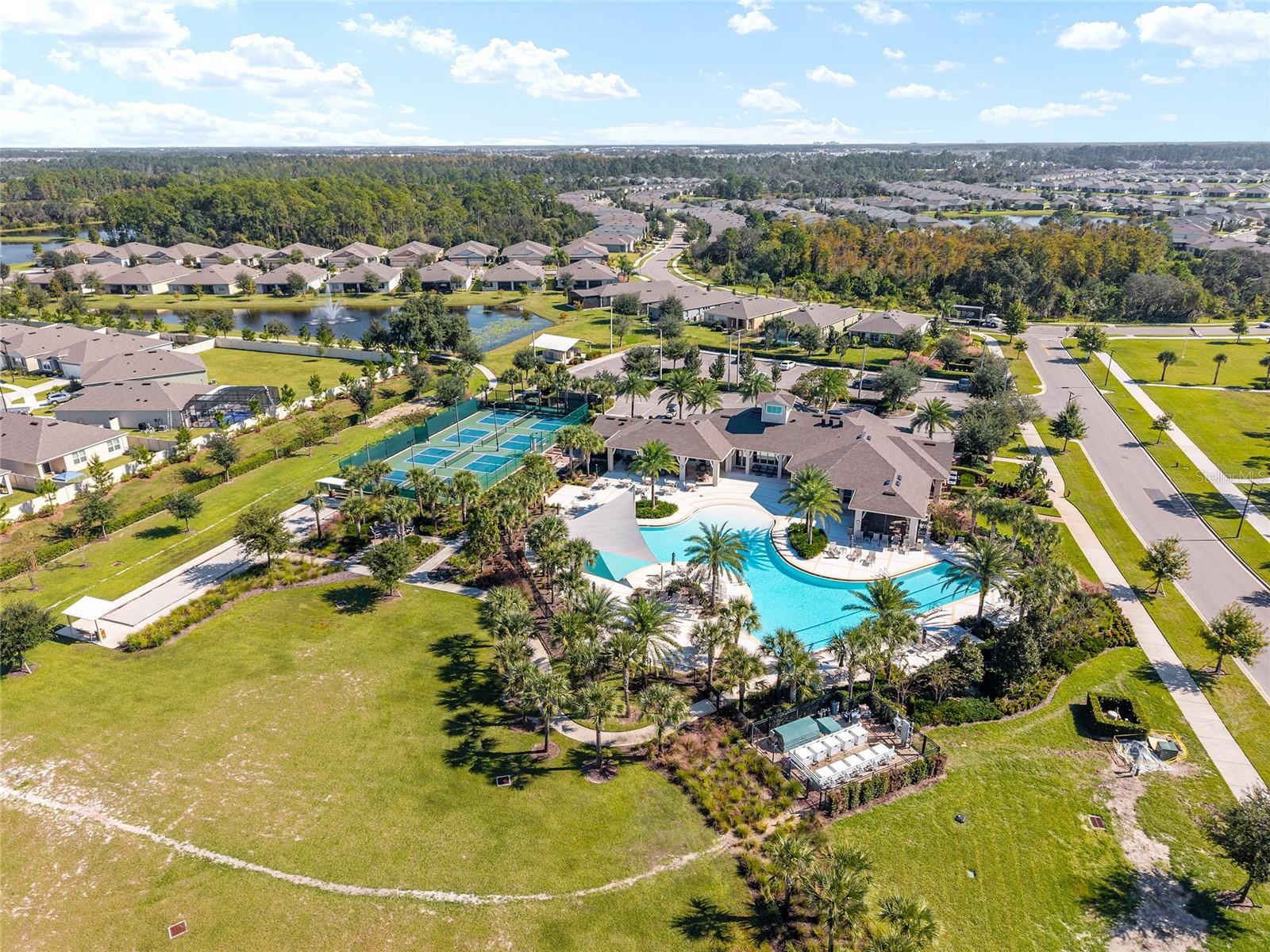 PALMS AT SERENOA - Residential