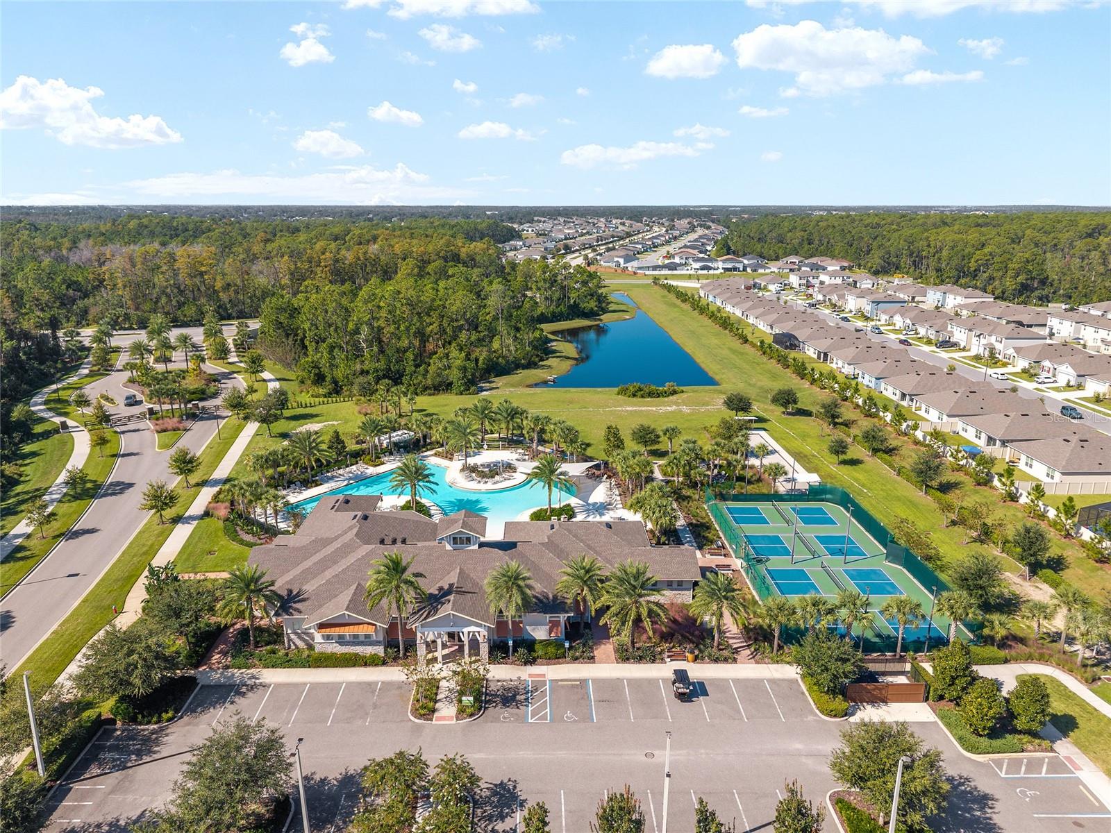 PALMS AT SERENOA - Residential