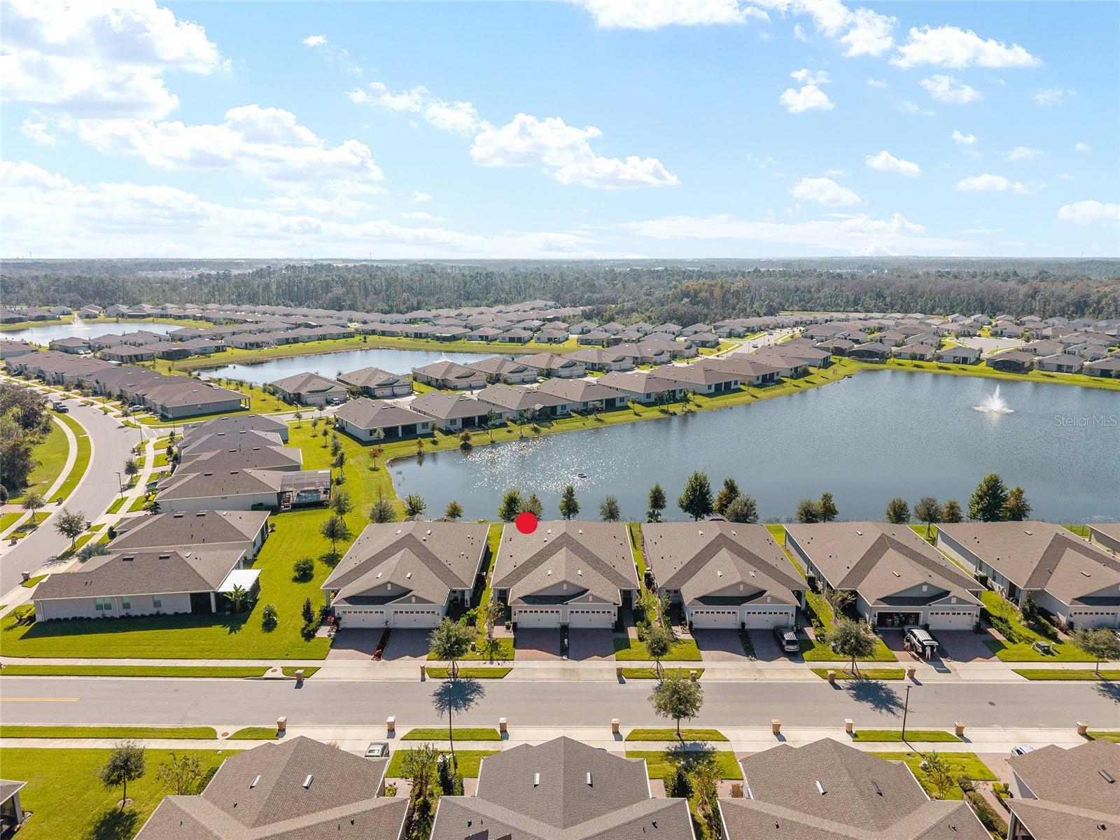 PALMS AT SERENOA - Residential