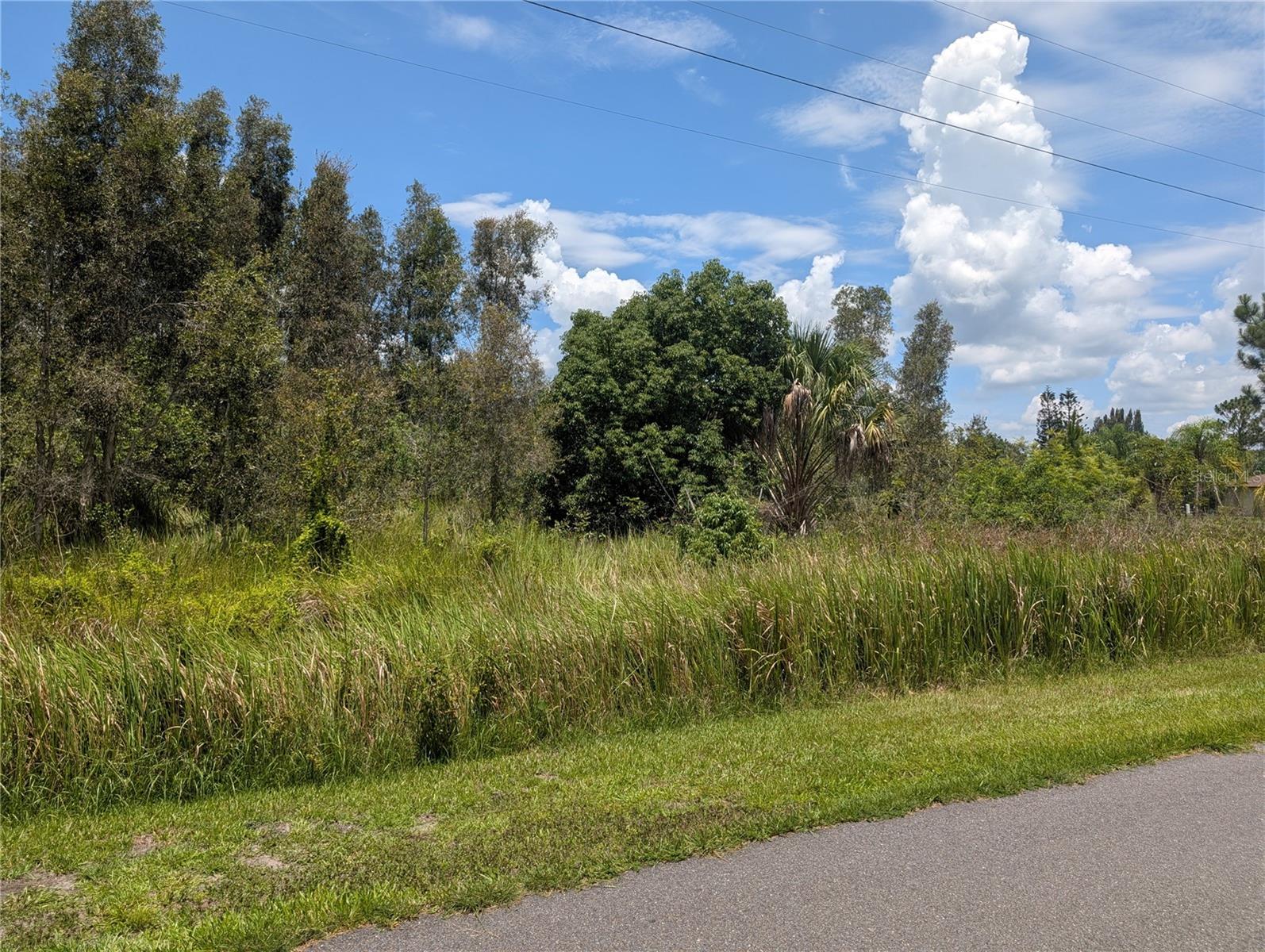 ARBOREA DRIVE N