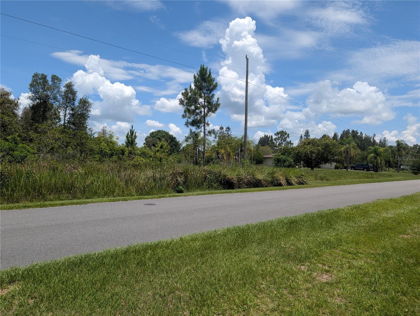 ARBOREA DRIVE N