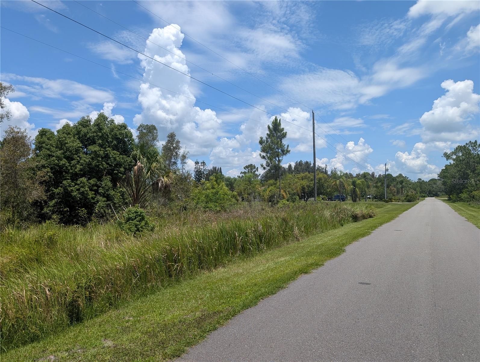 ARBOREA DRIVE N
