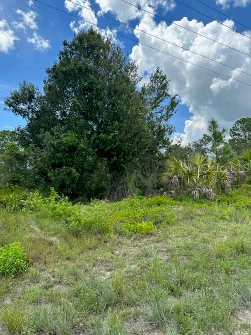 Photo of 230 Columbus Boulevard, Lehigh Acres, FL 33974 (MLS # S5088400)