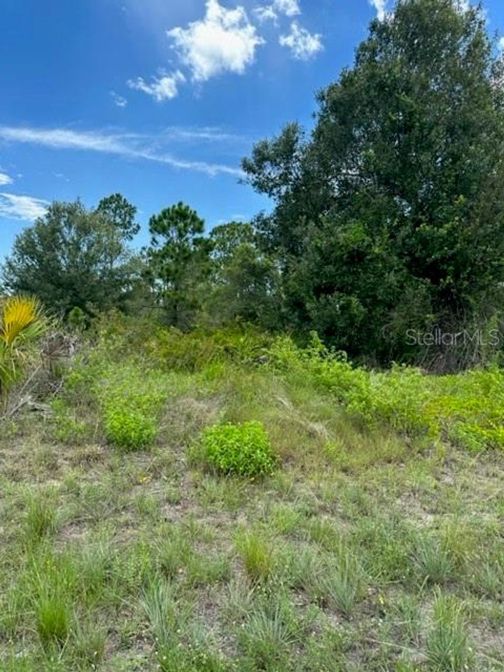 Photo of 230 Columbus Boulevard, Lehigh Acres, FL 33974 (MLS # S5088400)