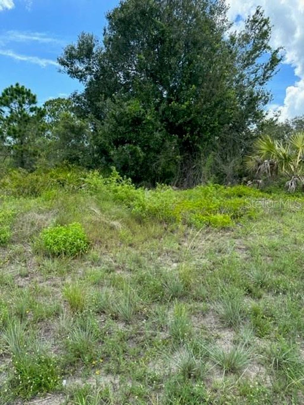 Photo of 230 Columbus Boulevard, Lehigh Acres, FL 33974 (MLS # S5088400)