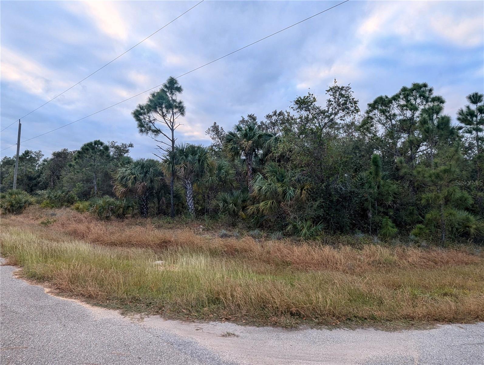 Looking for the perfect place to build your dream home? This developing neighborhood is waiting for you! This oversized corner lot is located between North Port and Port Charlotte so you can enjoy shopping and dining from both areas. Electricity is already available on the lot, providing a huge savings and value to the new buyer ready to build! Like sports? The Tampa Bay Rays spring training stadium, Charlotte Sports Park, is 15 minutes up the road for all those sports fans. For our boating and fishing enthusiasts, launch your boat at Spring Lake Parks boat ramp, 13 minutes away, or Charlotte Beach Public Boat Ramp, about 17 minutes away, both with access to Peace River, Charlotte Harbor, and out to the Gulf! World-class fishing is here and waiting for you! Close to I-75 and the Punta Gorda Airport, offering quick access for the traveler in you. Take advantage of an opportunity to own this amazing lot, build your new home, and start living the Florida lifestyle! What are you waiting for? Seller also has adjoining lots available to add to this parcel if you want an even larger lot to build on!
