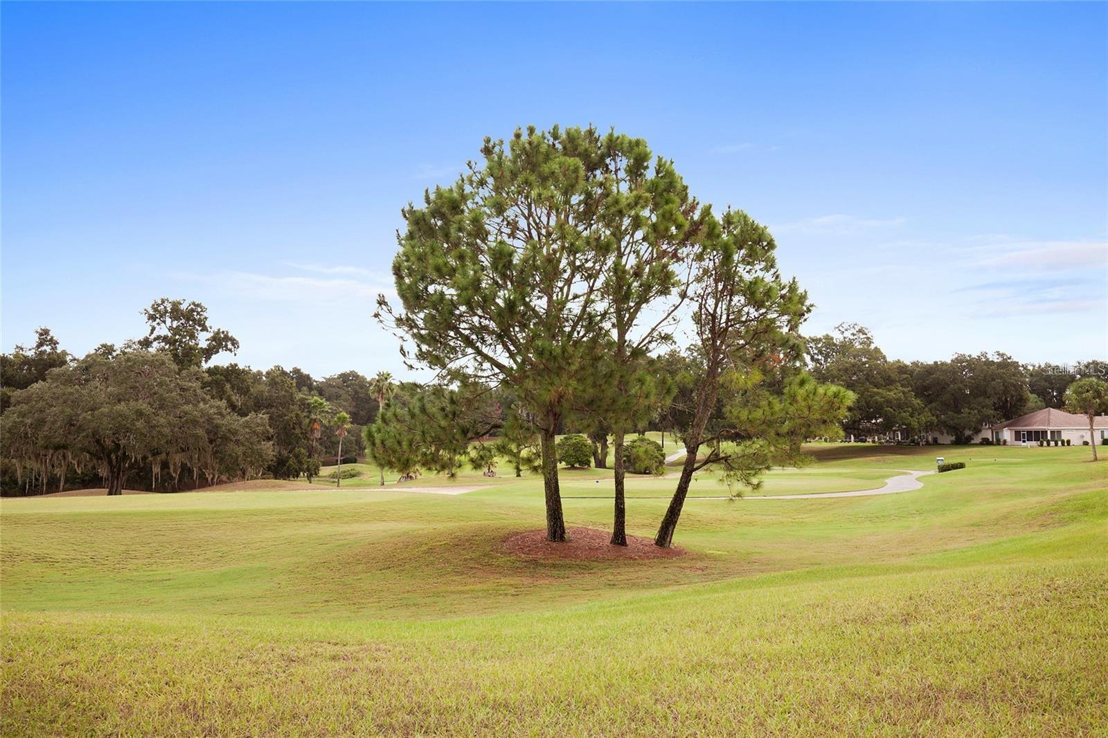 SPRUCE CREEK GC - Residential