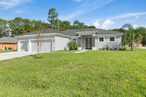 A home in PALM COAST