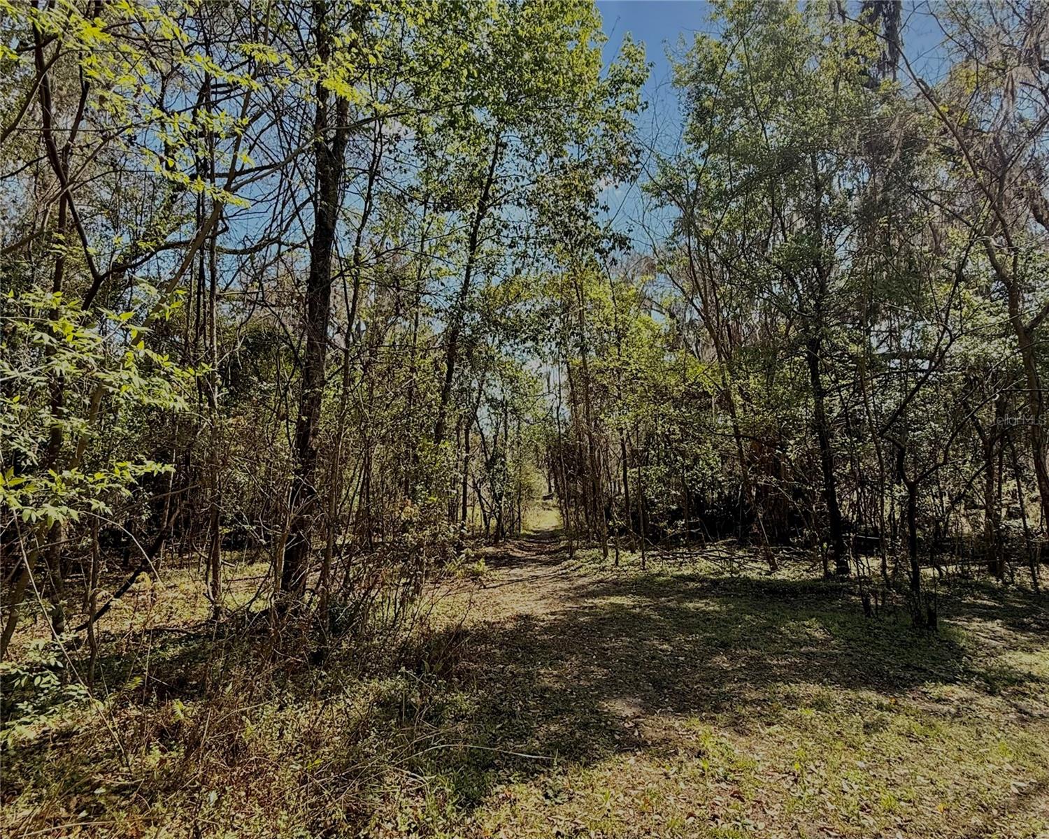 NOT IN A SUBDIVISION - Residential