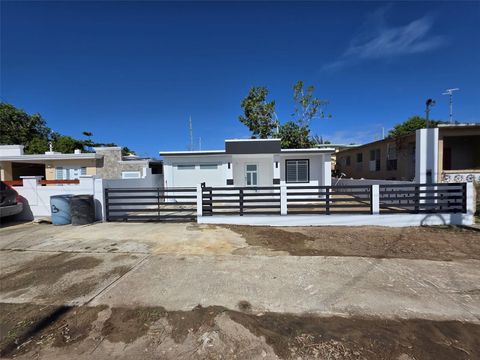 681 BO ISLOTE - JAREALITO #51 ARECIBO 00612