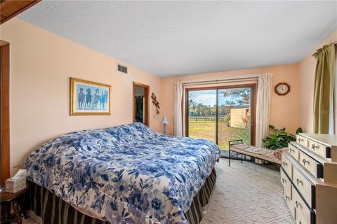 Tiny photo for 4975 NW 125th Street Road, Reddick, FL 32686 (MLS # OM715665)