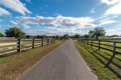 Tiny photo for 4975 NW 125th Street Road, Reddick, FL 32686 (MLS # OM715665)