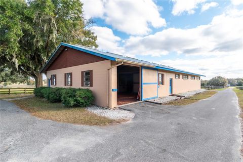 Tiny photo for 4975 NW 125th Street Road, Reddick, FL 32686 (MLS # OM715665)