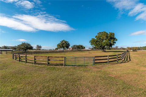 Tiny photo for 4975 NW 125th Street Road, Reddick, FL 32686 (MLS # OM715665)