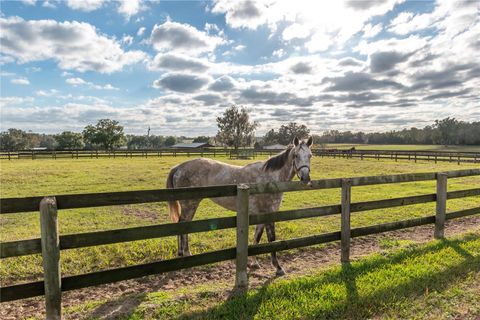 Tiny photo for 4975 NW 125th Street Road, Reddick, FL 32686 (MLS # OM715665)