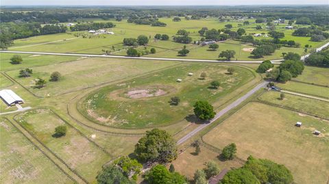 Tiny photo for 5100 W Hwy 329, Reddick, FL 32686 (MLS # OM715665)