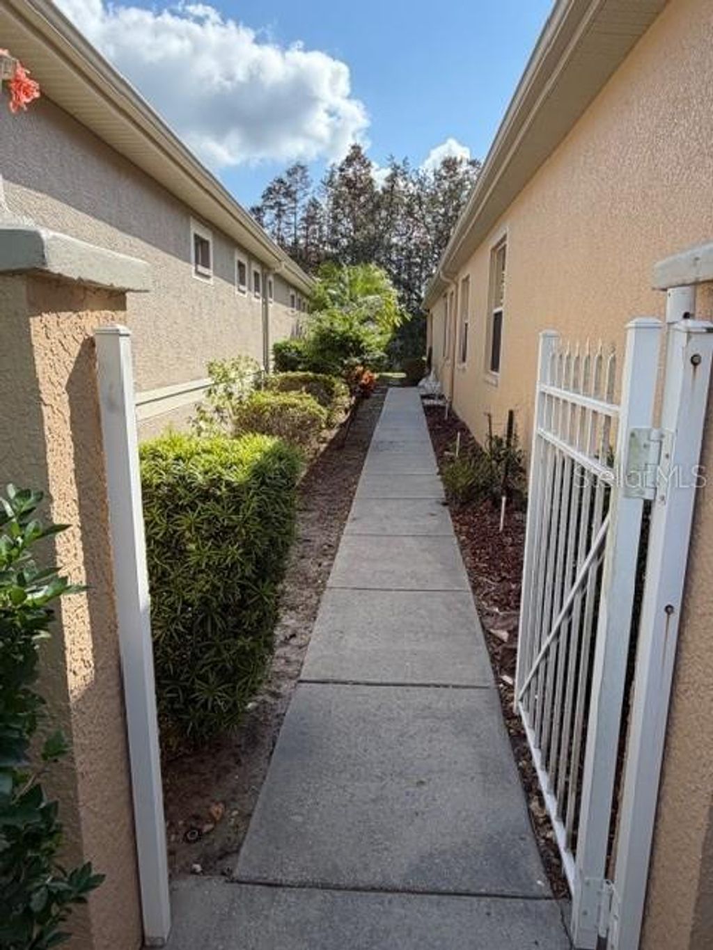 Photo of Land O Lakes, FL 34637 (MLS # TB8450770)