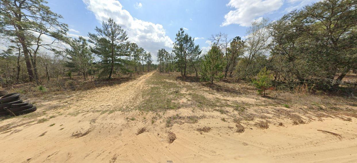 TROUT LAKE MANOR - Land