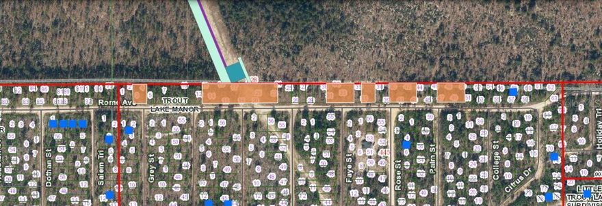 Vacant  land for sale at 228 Rome Ave in Interlachen, Florida! "Zoning: RES" This spacious 2.76-acre lot provides plenty of room to build your dream property, enjoy outdoor living, or invest in a growing area. A rare opportunity to own a large parcel in a serene, welcoming community.Pin Location: Latitude 29.66006545, Longitude-81.90984913. Note: buyers I emphasize the importance of conducting thorough due diligence to ensure that the property meets your expectations and requirements.