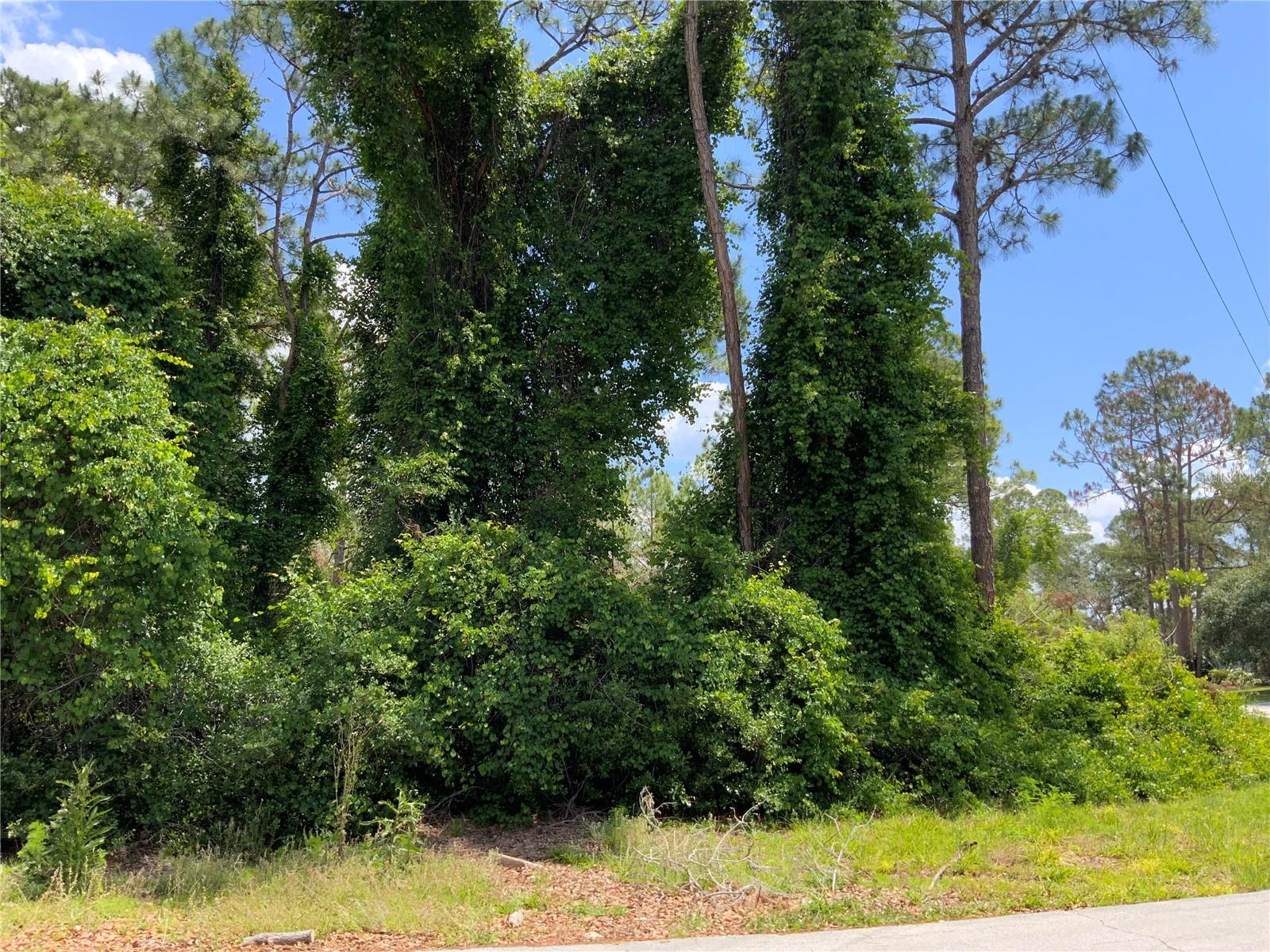 DELTONA LAKES UN 59 - Land