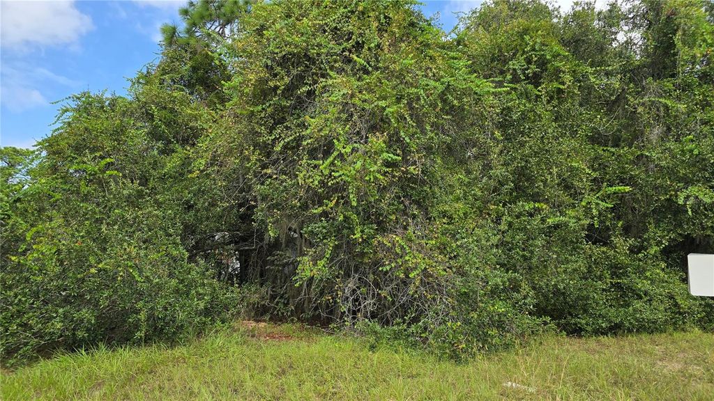 Photo of 2323 S Hicks Grove Road, Inverness, FL 34450 (MLS # OM710828)