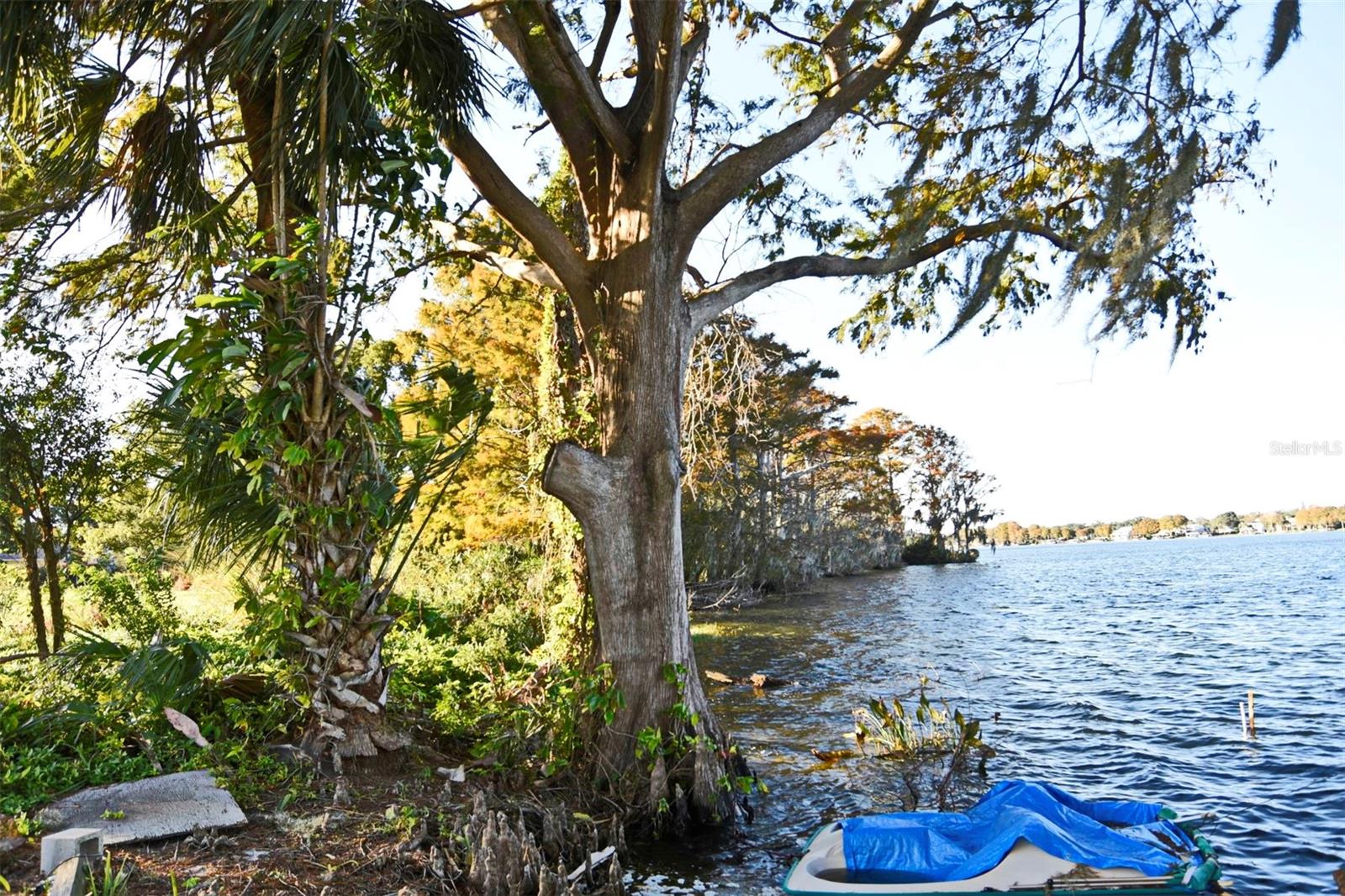 Rare opportunity to own 8.43 acres on Lake Killarney in Winter Park where you can build your dream home on 1.13 acres. This property is located near the south end of Lake Killarney. Lake Killarney is a 236 acre lake located in the corridor of Winter Park. You will find Rollin's College and Park Avenue shopping located within 2 miles of the property. Easy access to Fairbanks and I-4.