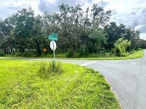 Photo of Sioux Trail, Kissimmee, FL 34747 (MLS # O6422199)