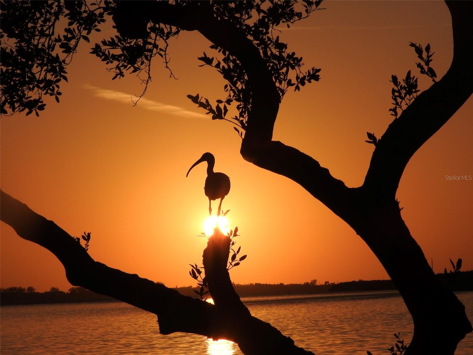 MOUNT VERNON PH 1 - Residential