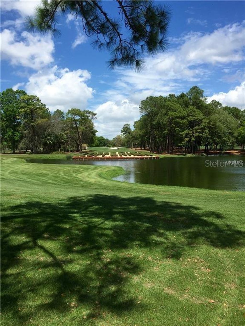 Photo of 36750 Us Highway 19 N #2879, Palm Harbor, FL 34684 (MLS # TB8488950)