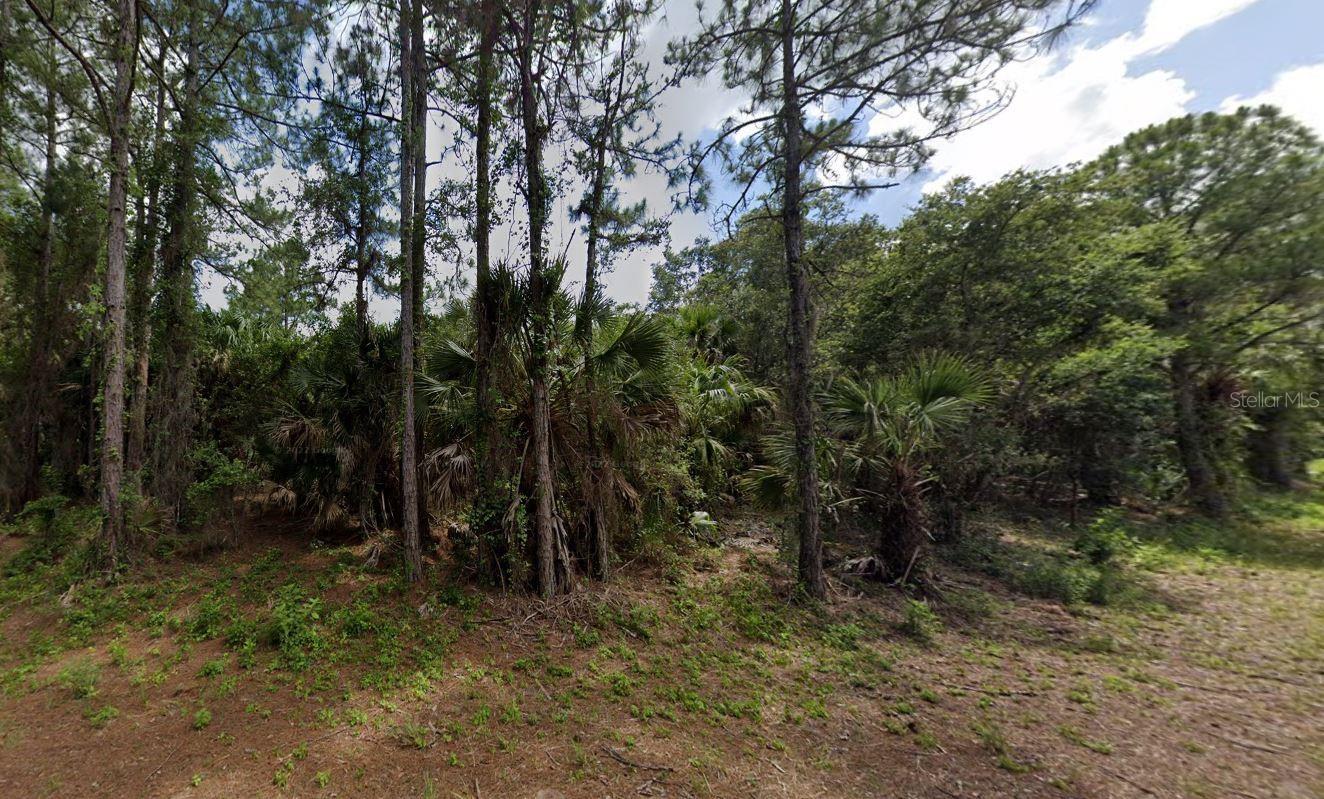 Build your home in a quiet and convenient location yet far enough away from the daily grind to be close to the conveniences we've grown accustomed to. It is also close to airports for the occasional family or friend to visit. Lot 26 and 28 are also FOR SALE, which would complete nearly .85 acres of privacy. NO HOA to combat, so putting up a privacy fence or a live privacy fence is A-OK, park your RV or Boat on your property, and save on storage costs. Buy one lot or all three it's up to what you want for privacy either way, get started with getting your SW Florida roots grounded and start living the good life.
Zoned single family, minimum sqft 900 must be on a permanent foundation well/septic