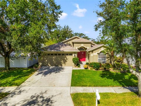 A home in ZEPHYRHILLS