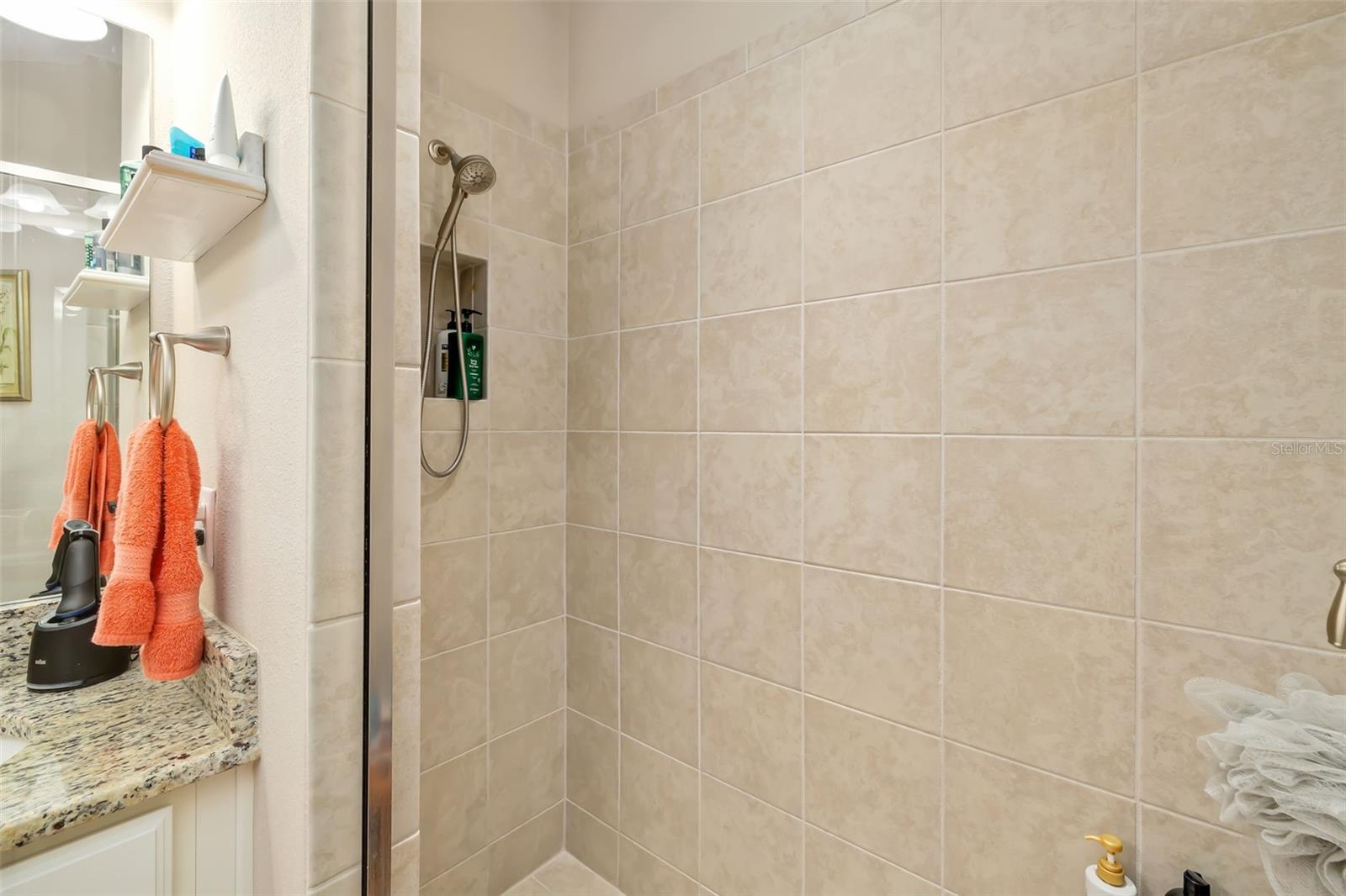 BACCIANO III AT ESPLANADE LAKEWOOD RANCH - Residential