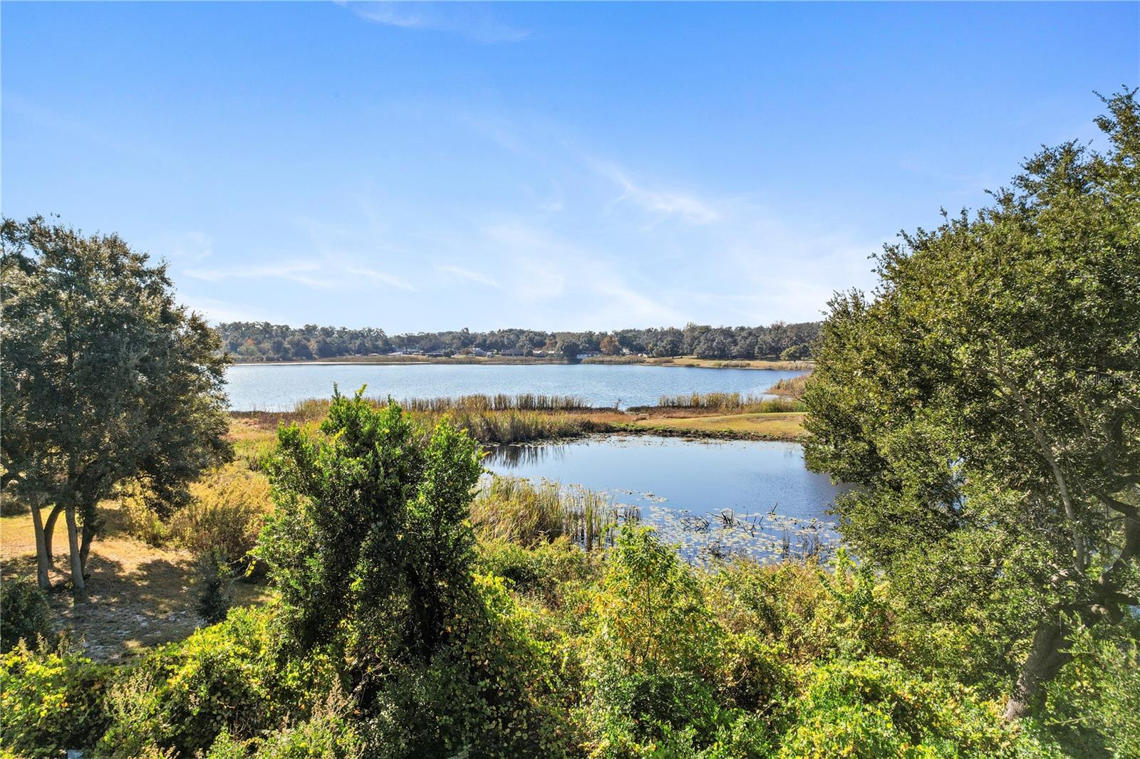 MASCOTTE LAKE JACKSON RIDGE PH 02 - Residential