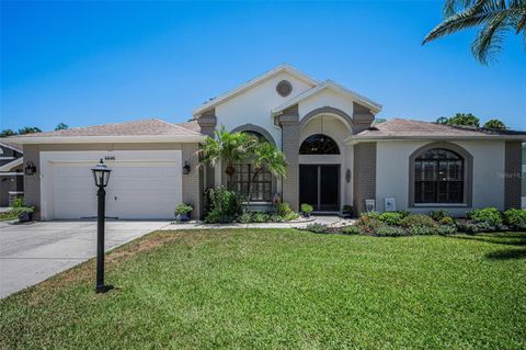 Photo of 6646 Garden Palm Court, New Port Richey, FL 34655 (MLS # W7887023)