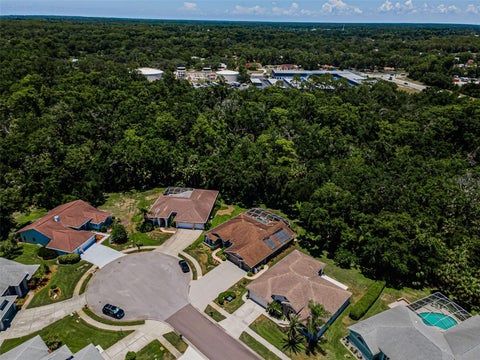6646 Garden Palm Court, New Port Richey, FL 34655