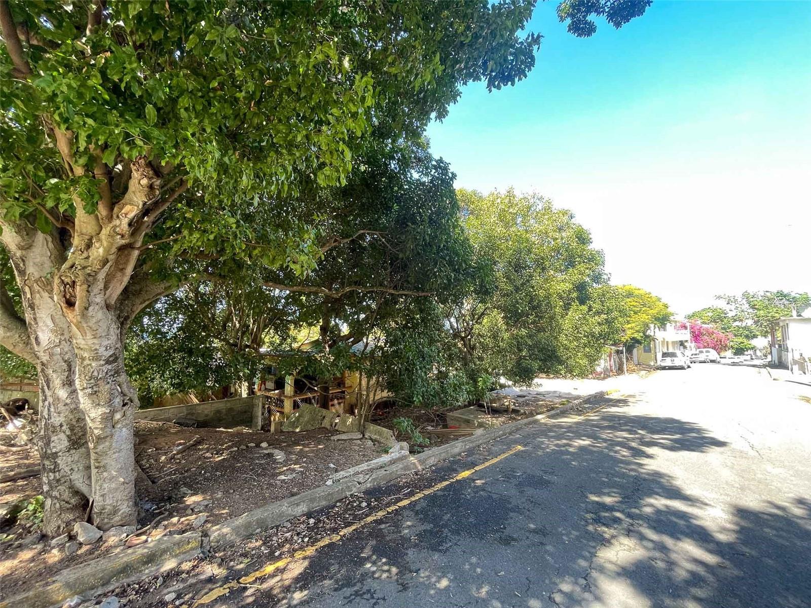 259 CALLE BUENA VISTA