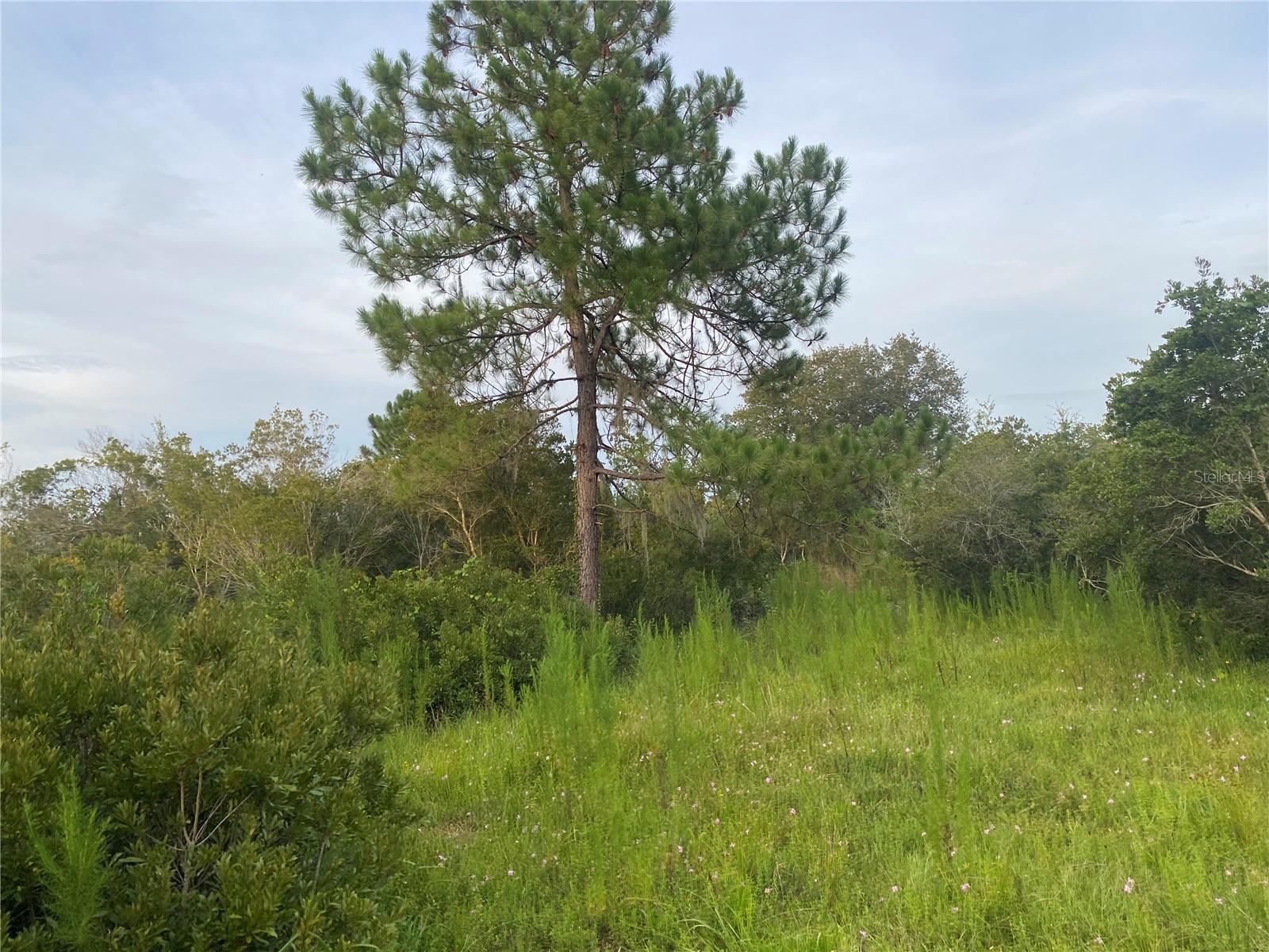 45811 MCLEOD ROAD